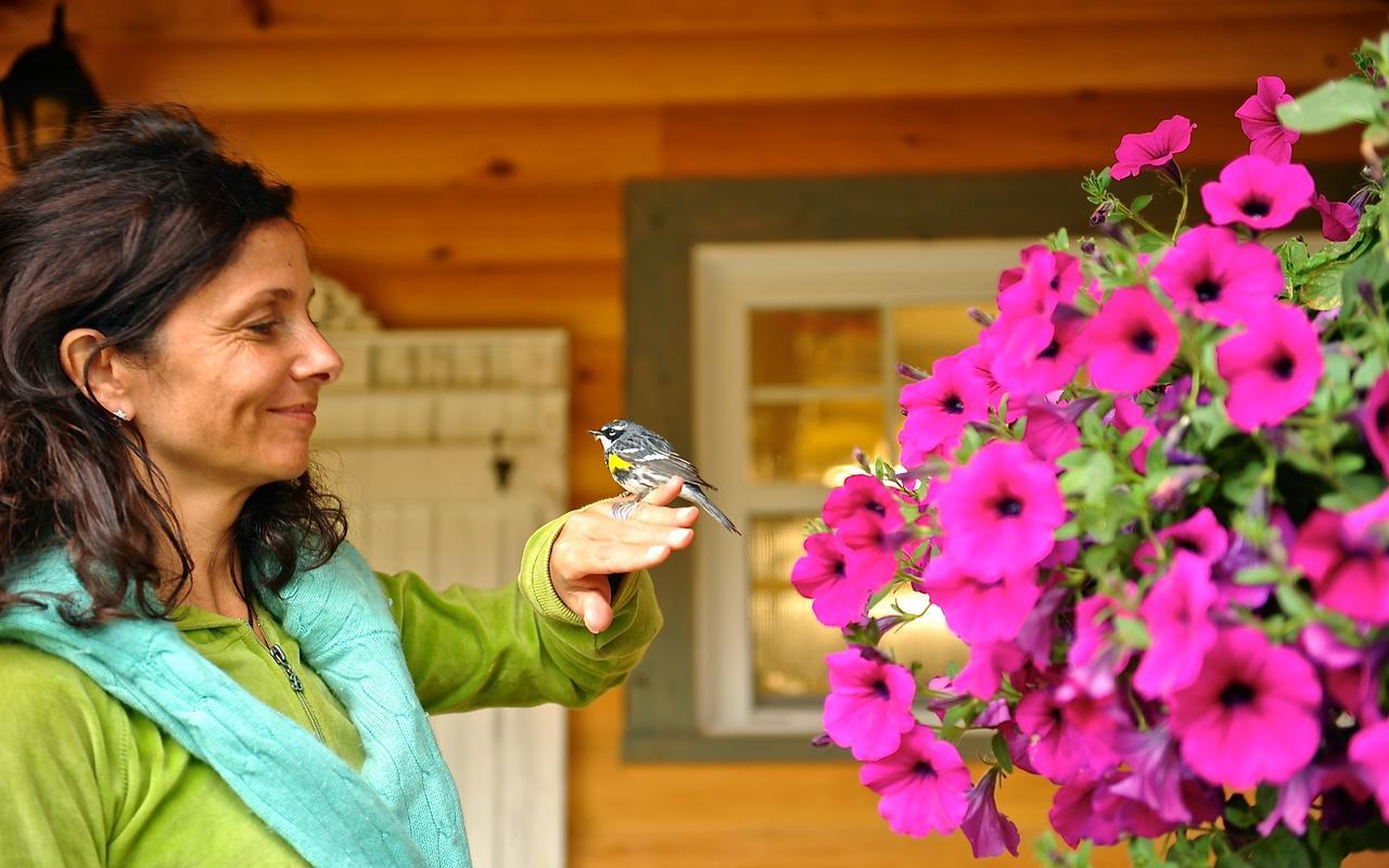 Le Bivouac - Les Chalets Spa Canada La Malbaie Ngoại thất bức ảnh